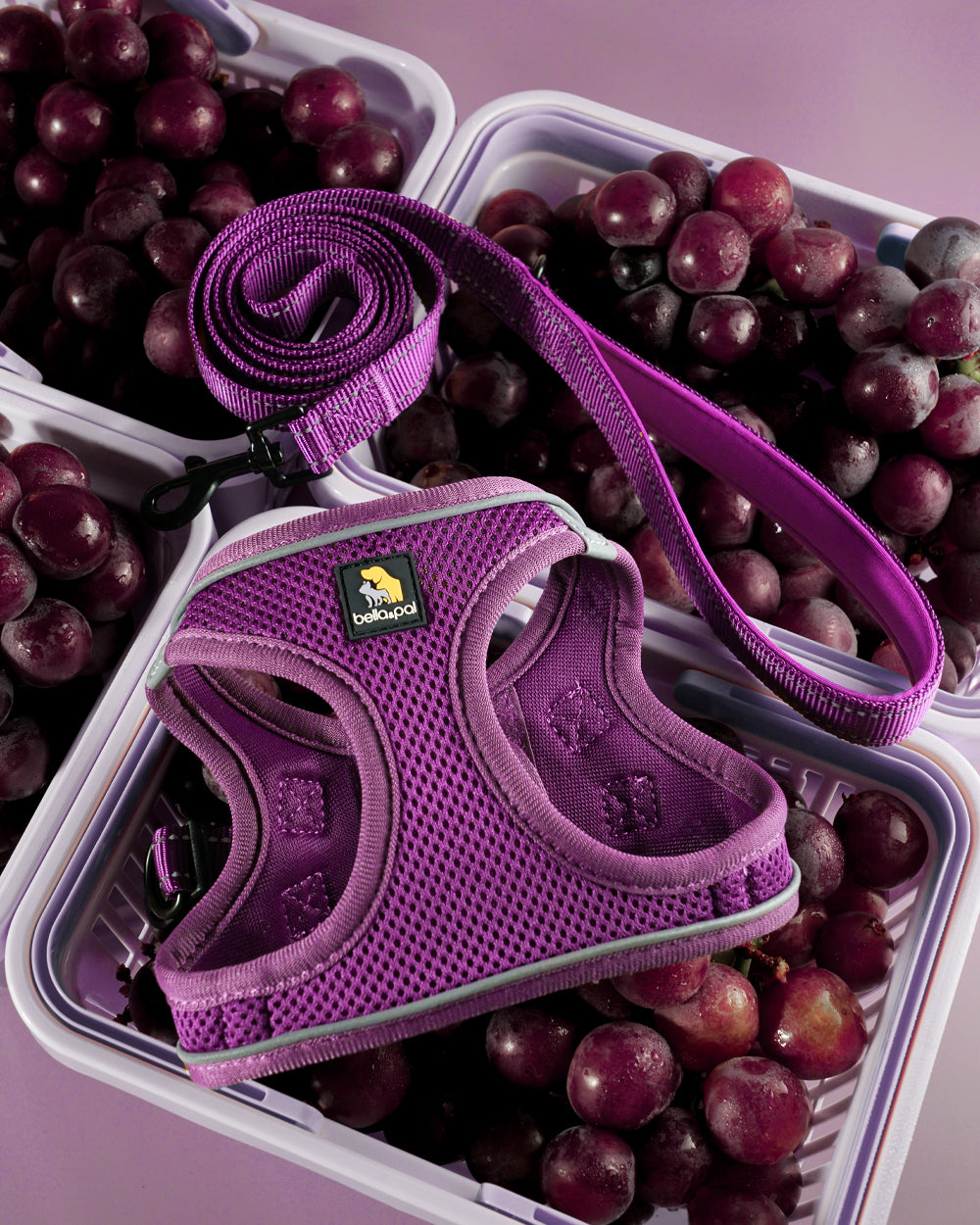 OxyMesh Velcro Step-in Harness and Leash Set - Grape